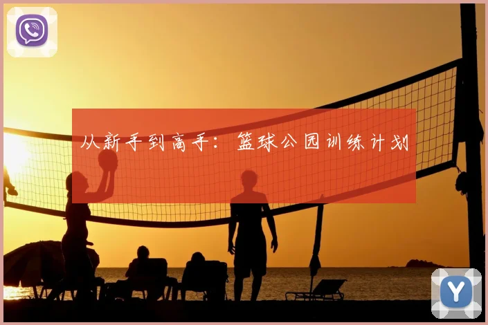 从新手到高手：篮球公园训练计划